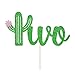 Cactus Two Cake Topper Mexican 2nd Birthday Succulent Theme Fiesta Cake Decor Double Sided