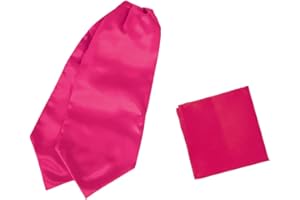 Dan Smith Solid Party Day Cravat Feel Silk Cravat Tie Ascot Assorted Pack Plain