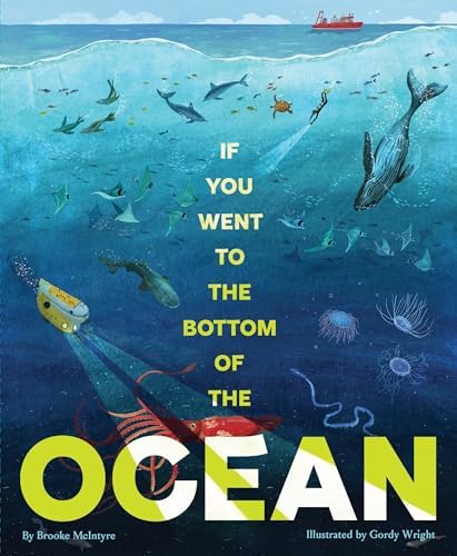 Amazon.com: An Ocean Between Us: Roman: 9783426526149: Bilinszki