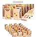 MEIGO Wooden Toys - Toddler Wooden Educational Preschool Dominoes Shape Puzzle Matching Game Building Blocks for Kids 1 2 3 4-5 Year Old Boys Girls (32PCS)