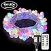 Multicolor Led String Lights,Globe String Lights Indoor Outdoor 34Ft 100LED String Lights Plug in UL Listed Remote,IP65 Waterproof Xmas Decorative Starry String Lights for Bedroom,Patio,Party