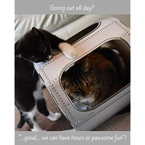 Pet Supplies, Cats, Beds & Furniture, Cat Trees & Condos, Cat Houses & Condos