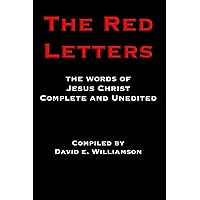 The Meaning of Jesus: Two Visions (Plus): Marcus J. Borg, N. T.