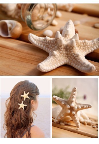3   2   huge pretty natural starfish star hairpin hair …