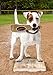 MLB SAN FRANCISCO GIANTS Baseball Bat Toy for DOGS & CATS. Soft Corduroy Plush with Inner SQUEAKER