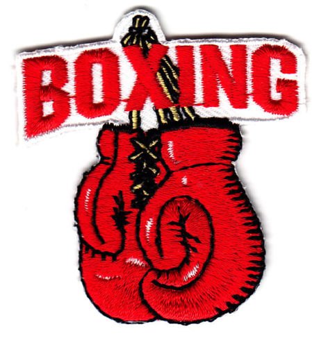embroidered boxing gloves