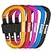 D-FantiX Aluminum D-Ring Locking Carabiner Keychain Spring Clip Lock Carabiner Hook Outdoor Camping Equipment Pack of 5