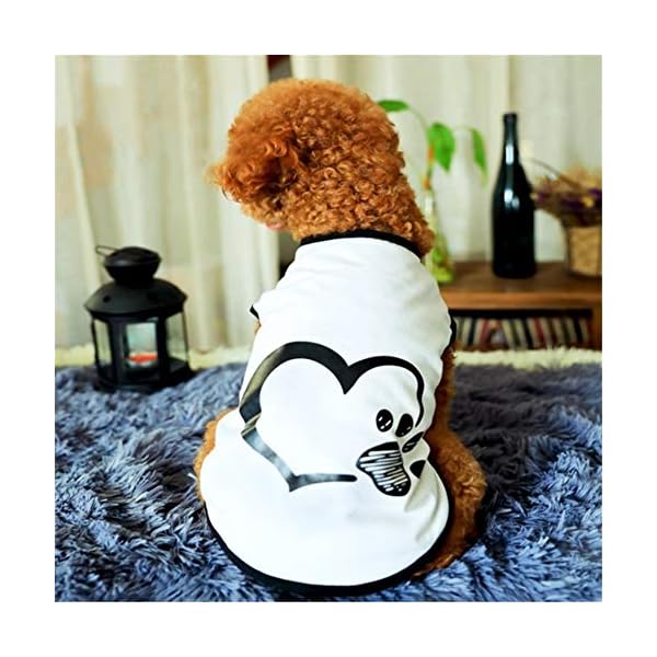 WFWUK Vestiti per Cani Taglia Media Cappottino Cane Estate Abbigliamento Cani Estate Vestiti Carini Vestiti per Cuccioli…