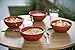 EVO Sustainable Goods 16 oz. Bowl Set, Red