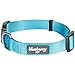 Blueberry Pet Essentials 22 Colors Classic Dog Collar, Medium Turquoise, Small, Neck 12"-16", Nylon Collars for Dogs primary