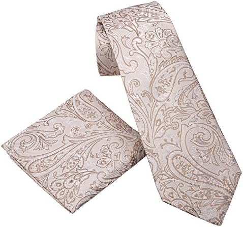 Donum Collection Champagne Paisley Mens Silk Tie Necktie and Pocket Square Width 3.25 Inches Beige