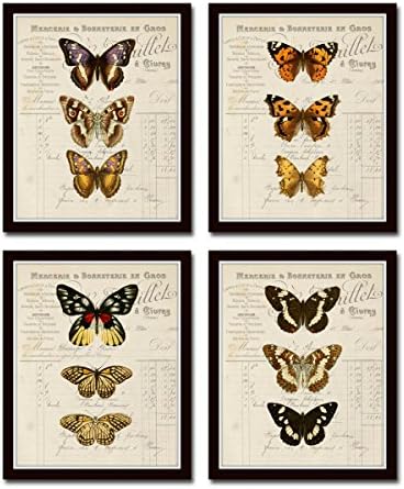 French Butterfly Study Print Set No.2 Set of 4 Giclee Butterfly Prints - Unframed