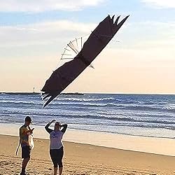 Revolution Kites Eagle Sport Wing with Reflex