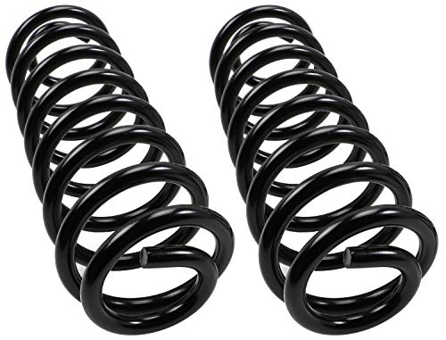 MOOG 81069 Coil Spring Set