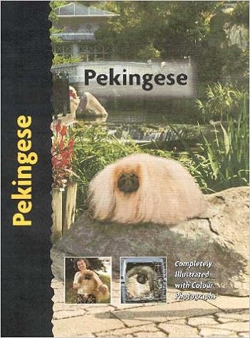 Pekingese (Pet Love) �n�[�h�J�o�[  - 2000/7/20