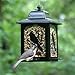 Perky-Pet 363 Birds and Berries Lantern Feeder