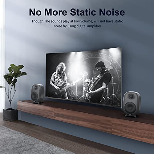 BESTISAN SR06 60 Watt Bookshelf Speakers With Bluetooth 5.0, Wired ...