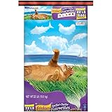 Purina Friskies Dry Cat Food, Surfin' & Turfin' Favorites - 22 lb. Bag