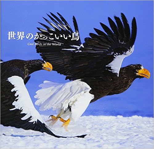 世界のかっこいい鳥 上田 恵介 笠原 里恵 本 通販 Amazon