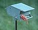 Audubon Bird's Delight Squirrel Resistant Bird Feeder Model 7511i
