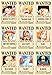 Bluefun Anime One Piece Pirates Wanted Posters Style New Big Size - 10pcs Set