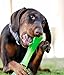 Urban Stick Durable Dog Chew Toy, Tough Dog Toy by Bionic, Medium, Green