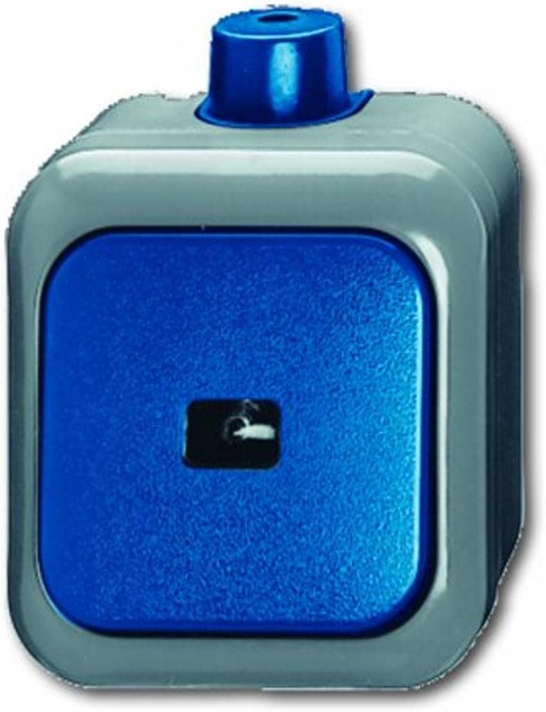Busch-Jaeger 2621 WDI Rocker Switch