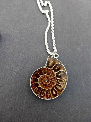 Ammonite brown stone in silver frame fossil and metal pendant with chain necklace. Handmade jewelry, jewellery. Fashion, Accessories. Boho, Bohemian.