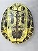 Red Ear Turtle Shell