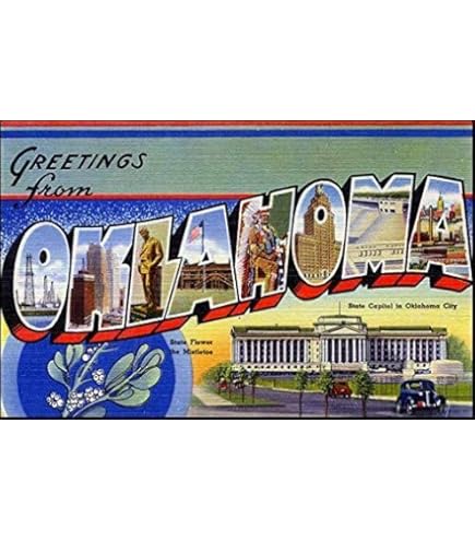 Oklahoma City USA Koelkastmagneet 3D reizen souvenir