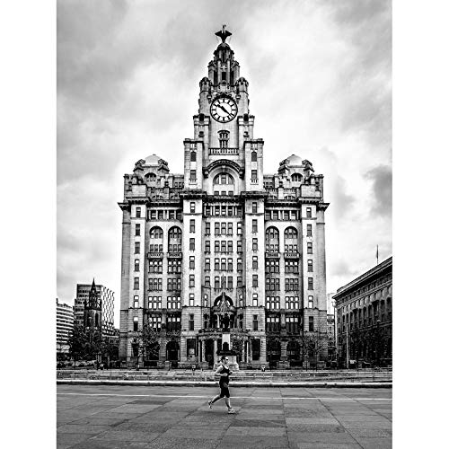 Artery8 Taddeo Royal Liver Building Liverpool Photo Art Print Canvas Premium Wall Decor Poster Mural