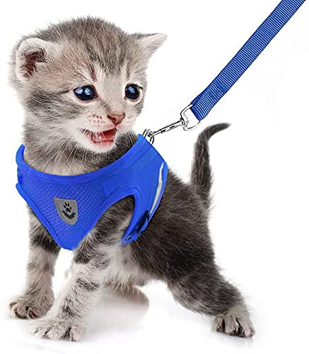 FEimaX Soft Mesh Dog Harness and Leash, No Pull Adjustable Lightweight Puppy Harnesses with Reflective Strap, Escape Proof Small Dog Cat Vest for Outdoor Walking