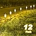 Sunnest Warm White Solar Garden Lights Outdoor, Solar Powered Pathway Lights, Outdoor Landscape Lighting for Garden/Yard/Lawn/Patio/Walkway/Driveway(12 Pack)