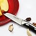 DESLON Chef Knife High Carbon German Stainless Steel Sharp with Ergonomic Handle (Fruit Knife-B-7.1inch)