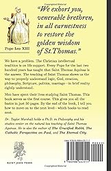 Thomas Aquinas in 50 Pages: A Layman's Quick Guide