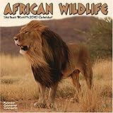 African Wildlife 2010 Wall Calendar by 