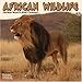African Wildlife 2010 Wall Calendar by 