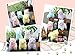 Alpacasso 6.7