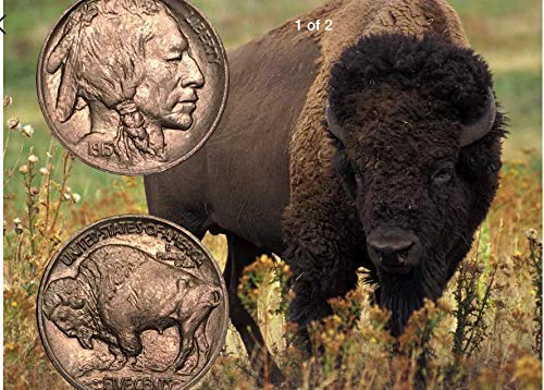 1911 GRIPS,SALE $39.88. GENUINE 1935 BUFFALO NICKELS FITTED IN BURLED COCOBOLO WOOD. FITS RUGER,COLT,KIMBER,SIG,SPRINGFIELD,TAURUS,PARA,ACE,REMINGTON,S & W,CLONES. MADE IN U.S.A.