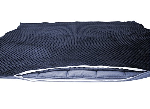 Premium Weighted Blanket with Cover for Adults with Autism, Sensory Processing Disorder or Anxiety Wanting Deeper Sleep - 60"x 80", 15 lbs, Blue & Grey Minky Cover, Cotton Weighted Layer