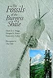 The Fossils of the Burgess Shale by 