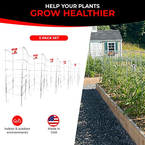 Cedar Ridge Square Foldable Tomato Cages Heavy Duty Plant Support for Vegetable Garden