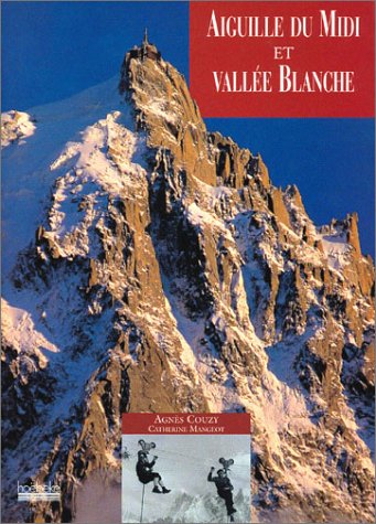 Aiguille du Midi et vallée Blanche