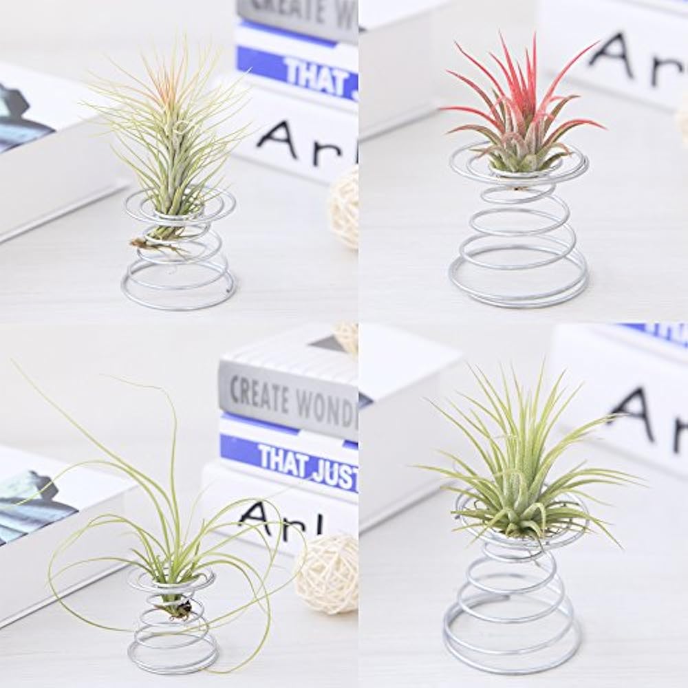 20 Pack Air Plant Stand Container Tillandsia Holder, Stainless Steel