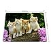 Four Cute Baby Cat Kitten Stand with Flower Customized Mouse Pad