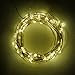 YINUO LIGHT Copper Wire Lights Decorative Led Lights USB Operated 100 LED 33ft Warm White Rope Lights Waterproof Fairy String Lights for Home