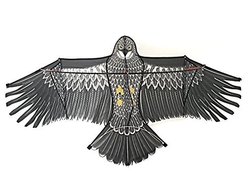 Flying Eagle Kite Kit by LIVERTOL High Quality, Strongest Bird-Shaped Flying Kite for Kids and Adults ~ 5 Foot Wingspan of Flying Eagle ~ Easy to Assemble, Fly, & Store with Carrying Case