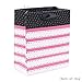 Hallmark Small Gift Bag (Pink and Black Stripes)