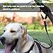 iBuddy Dog Seat Belt Car Headrest Restraint for Medium/Large Dogs, Adjustable Dog Seat Belt Harness for Car with Dual Safe Hook and Elastic Durable Nylon Dog Safety Belt for Vehicle