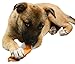 Pet Eden Sweet Potato Dog Treats Made in USA Only, Grain Free Natural Healthy Snack Chews for All Dogs, 1 lb